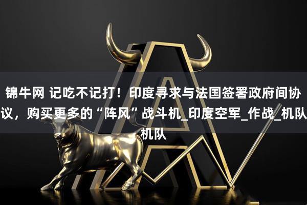 锦牛网 记吃不记打！印度寻求与法国签署政府间协议，购买更多的“阵风”战斗机_印度空军_作战_机队
