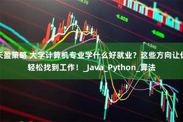 长盈策略 大学计算机专业学什么好就业？这些方向让你轻松找到工作！_Java_Python_算法