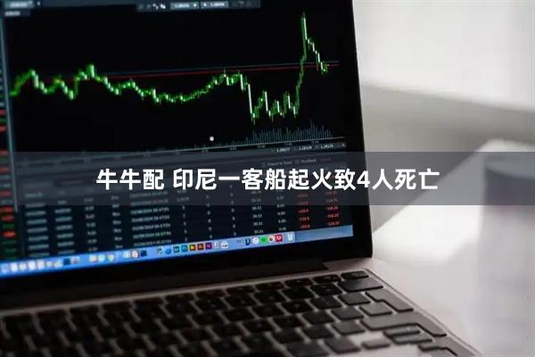 牛牛配 印尼一客船起火致4人死亡